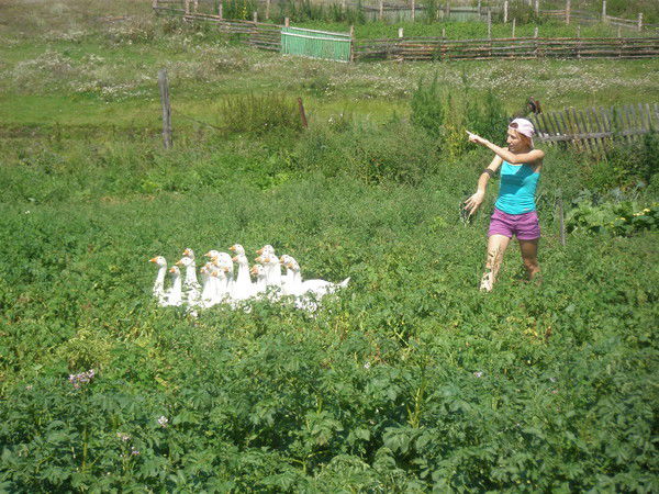 Света Хазиева