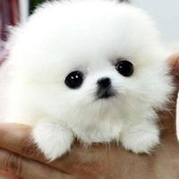 Алина Друшляк