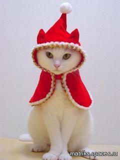 Ольга Сергеева