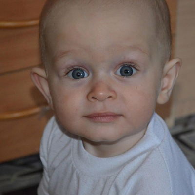 Александр Бауэр