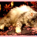 Ирина Пф