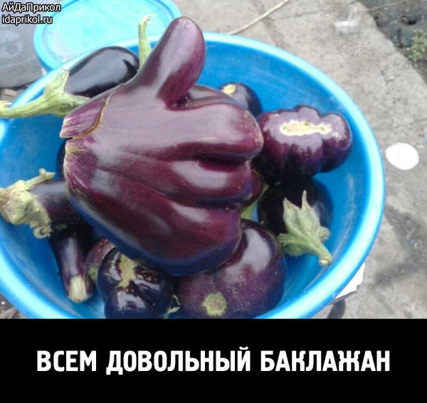 Рафаел Асоян