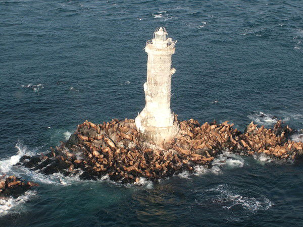 Олег Седченко