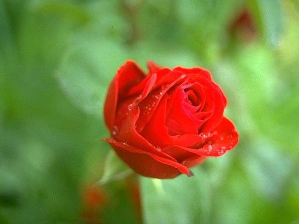 Сауле Бахтиярова(Даирова)