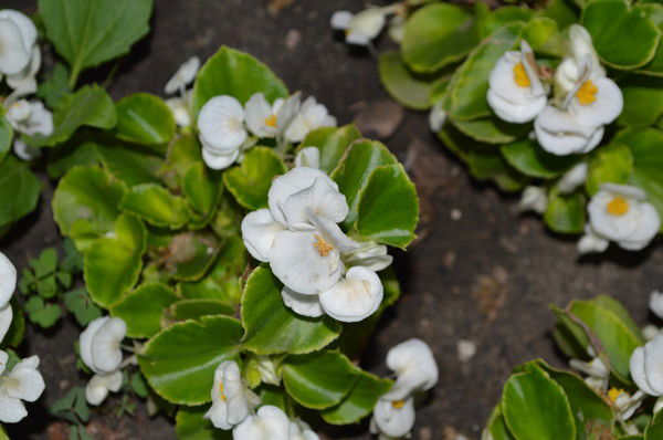 Татьяна Свинцяк