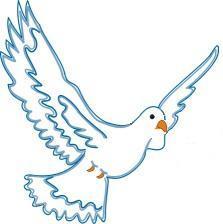 Владимир Комаров