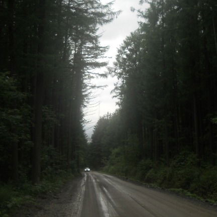 Aлександр Новиков