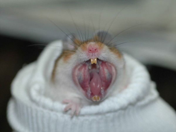 Катерина Сергеевна