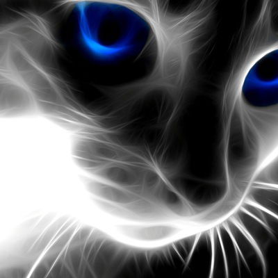 Коля Мисиюк