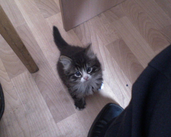 Вадим Гончаров