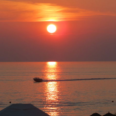 Анастасия Хомич