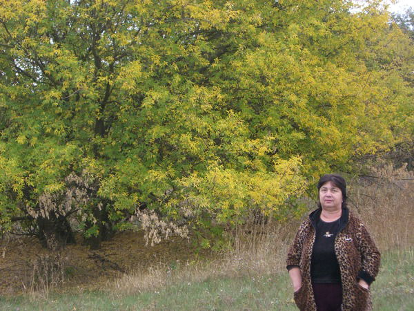 Андрей Янковский