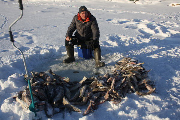 Андрей Перминов