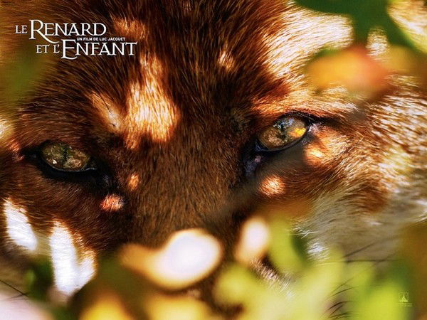 Виктория Бархатова