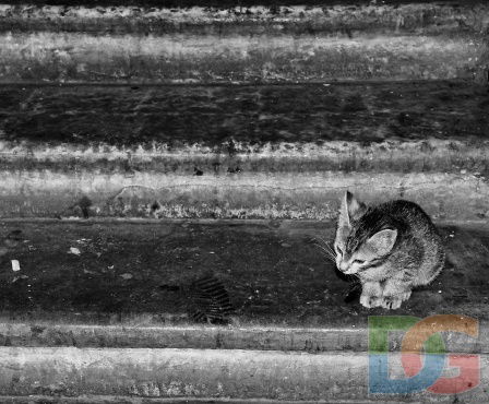 Ольга Морозова