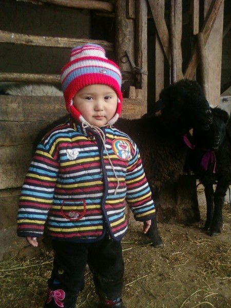 Алмаз Бакиров