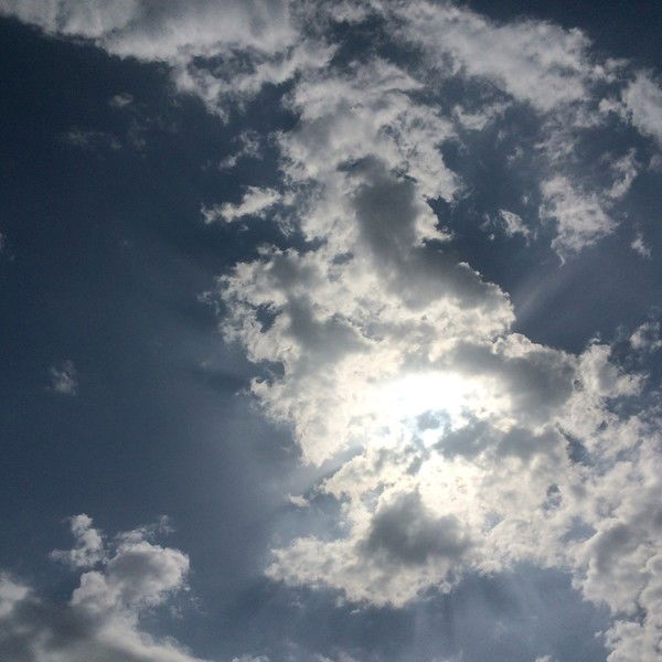 Камилла Цыплакова