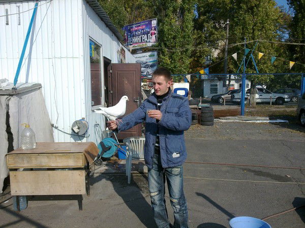 Александр Козлов