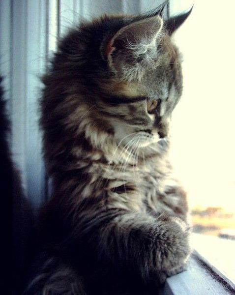 Екатерина Иванова