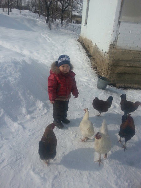 Умут Тойчуева