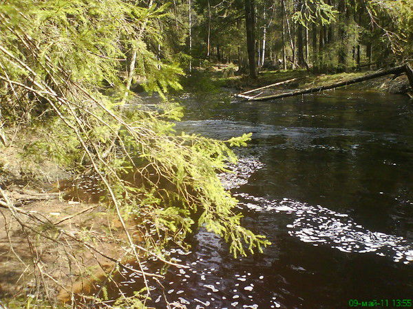 Алексей Смирнов