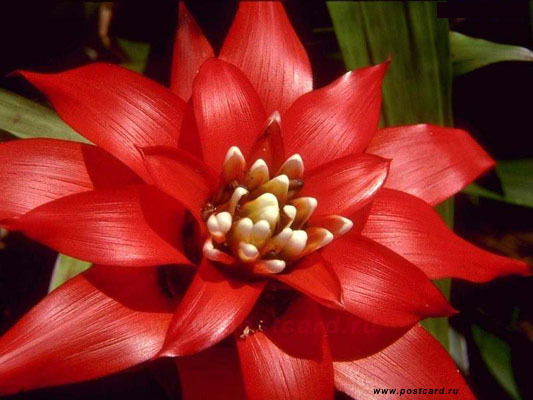 Нина Машинец