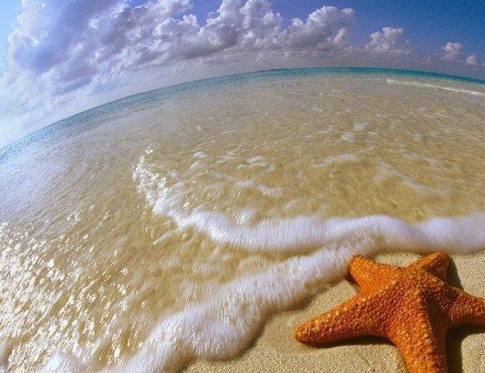 Ася Ибраева