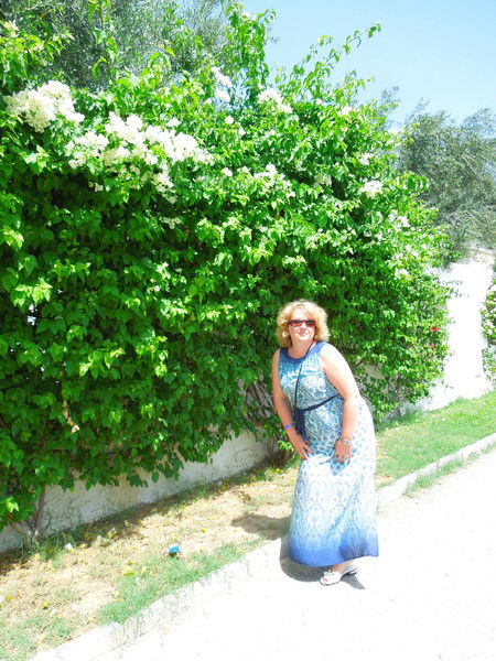 Елена Соловьева