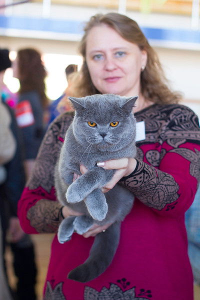 Светлана Булгакова