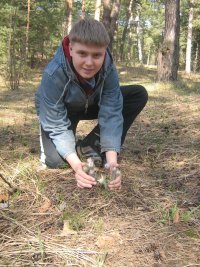 Александр Тимофеев