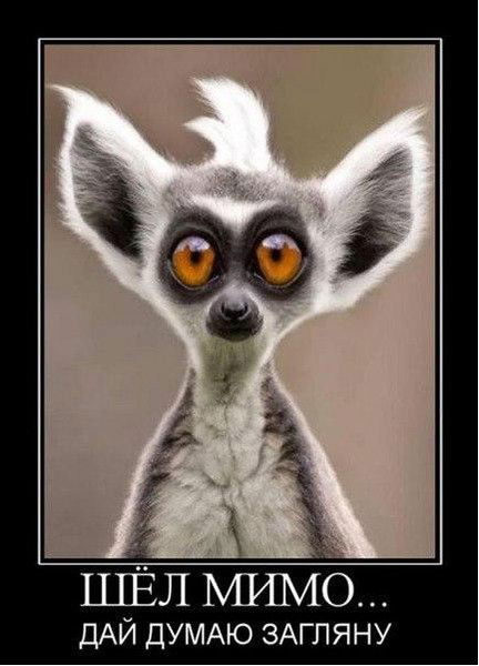 Татьяна Попова