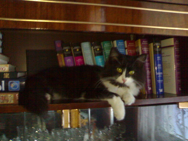 Ольга Прохорова