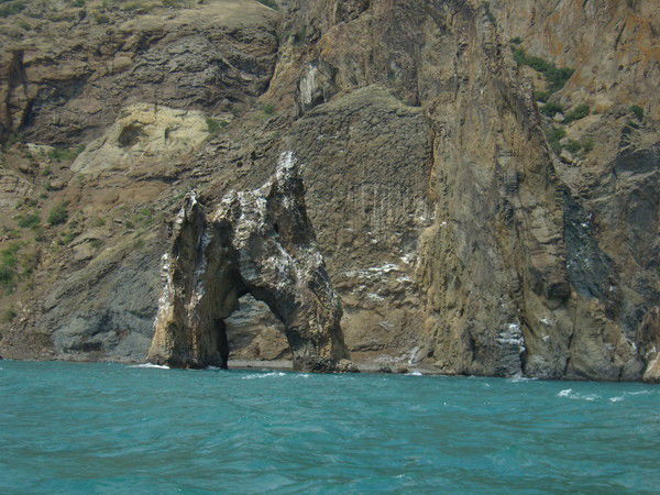 Елена Ревина