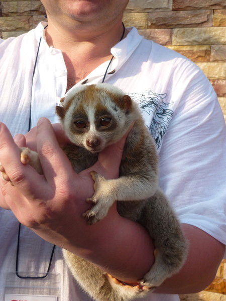 Олег Рудковицкий