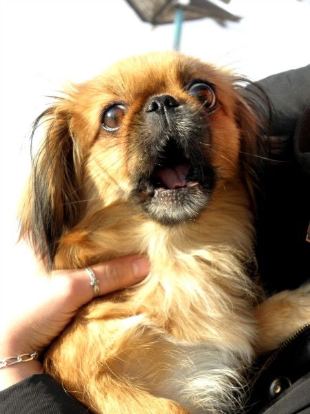 Заярина Танюша