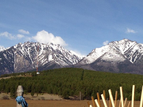 Ольга Маладаева