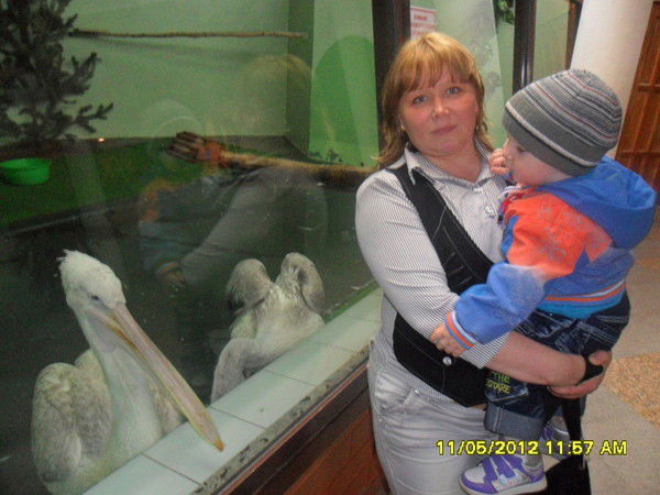 Светлана Савенко