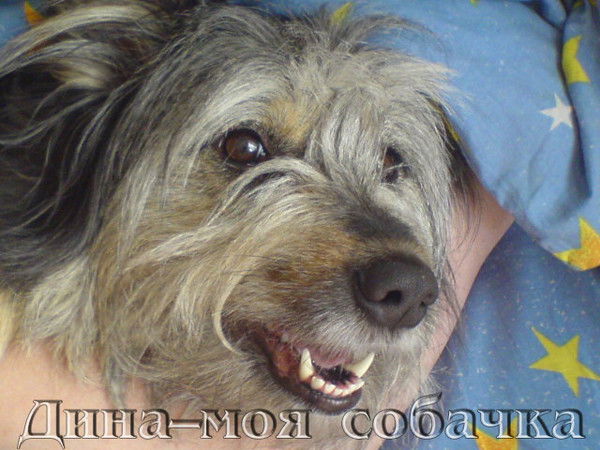 Татьяна Затомская