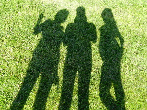 Илона Солонович