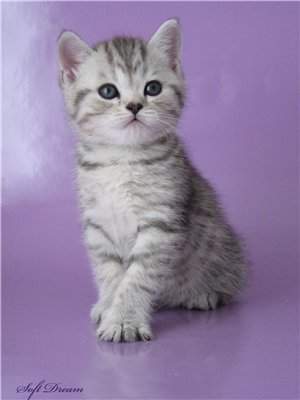 Леночка Назмутдинова