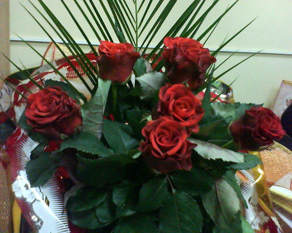 Татьяна Никифорова