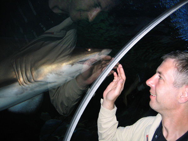 Игорь Генералов