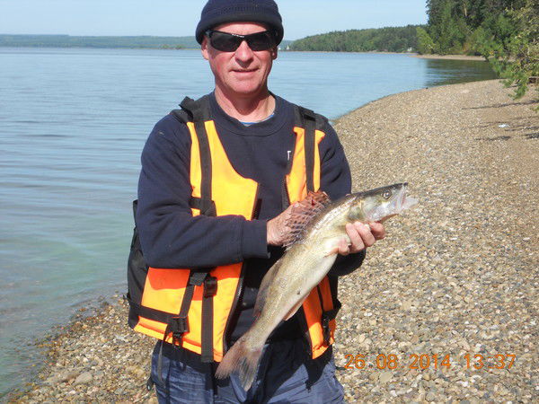 Геннадий Ёлкин