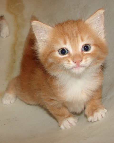 Мария Пронина