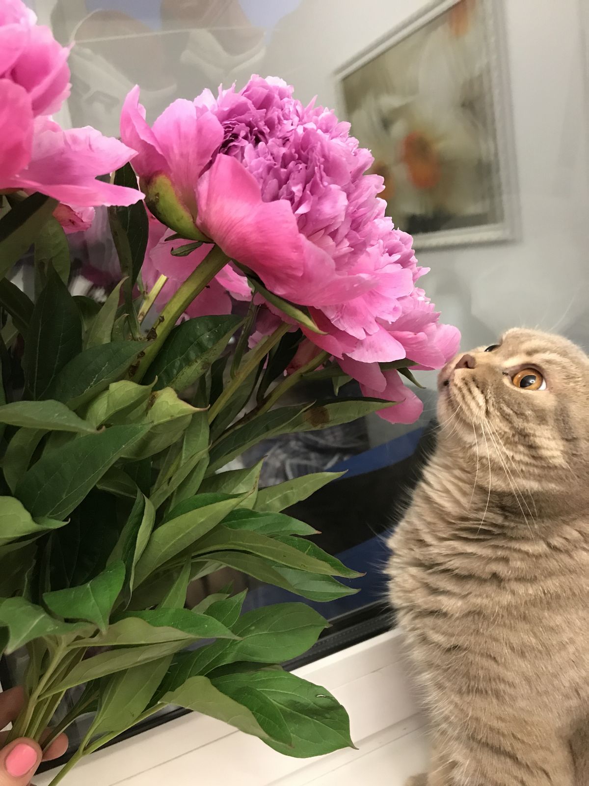 Дарья Большакова