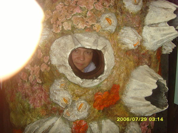 Мария T-Krmaria