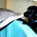 Николай Skleroz