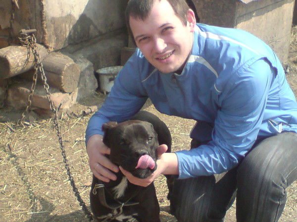 Сергей Стрельников