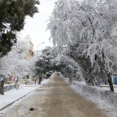 Елена Белоглазова