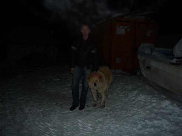 Денис Щерба